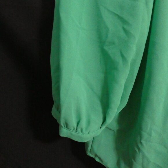 H&M | size 8 | Green Sheer Long Sleeve Button-Up Blouse | NWOT - Picture 13 of 16